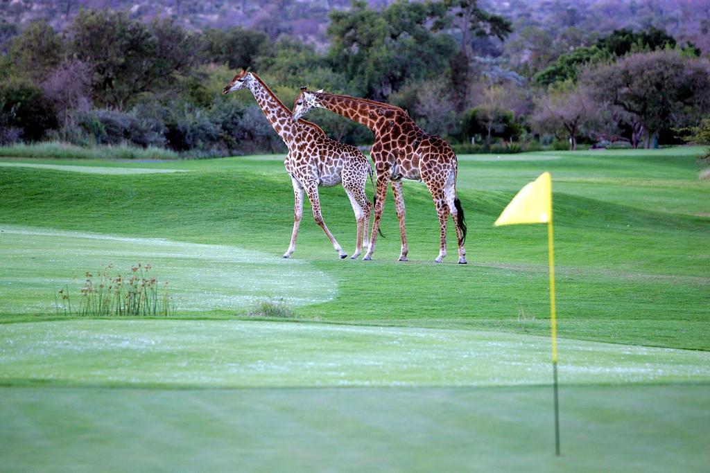 פאלאבורווה Royal Game Guest House מראה חיצוני תמונה